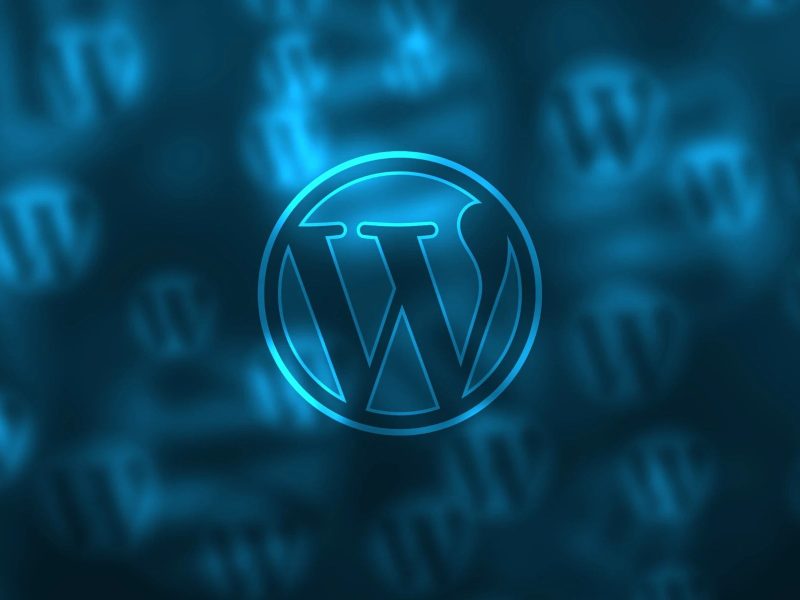Professional WordPress website customization